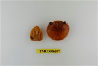 藏品(白紋方蟹)的圖片